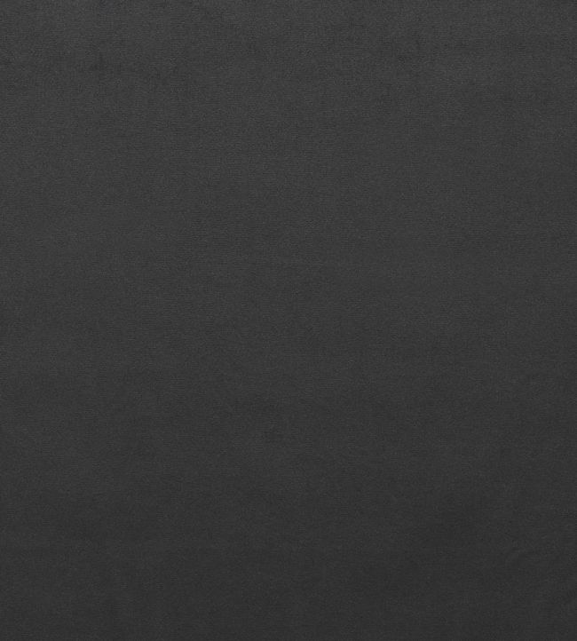 Mystere Fabric by Warwick COAL