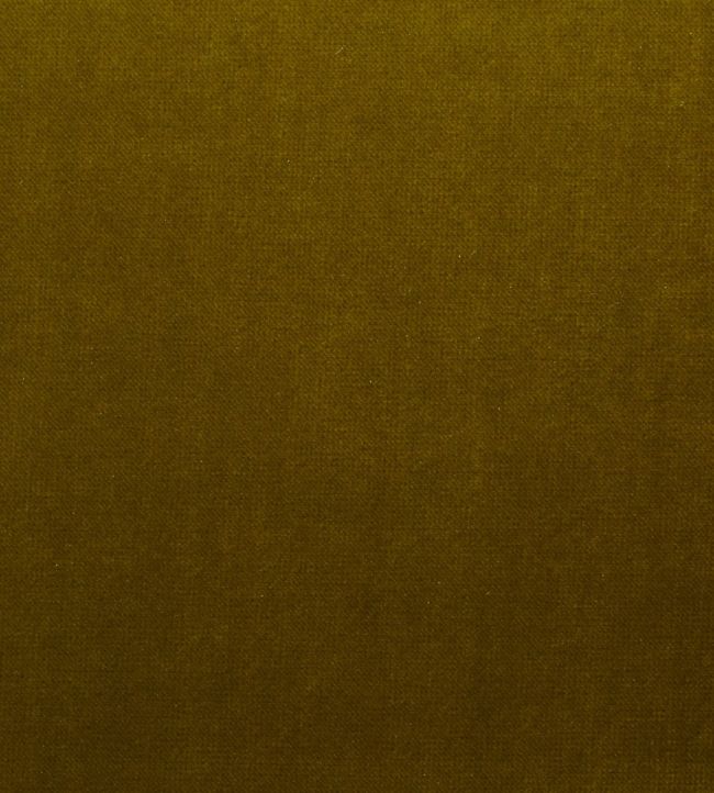 Mystere Fabric by Warwick GRASS