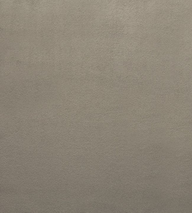 Mystere Fabric by Warwick LEAD