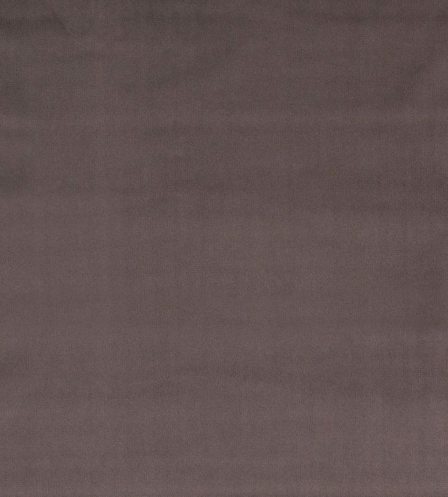 Mystere Fabric by Warwick MINK