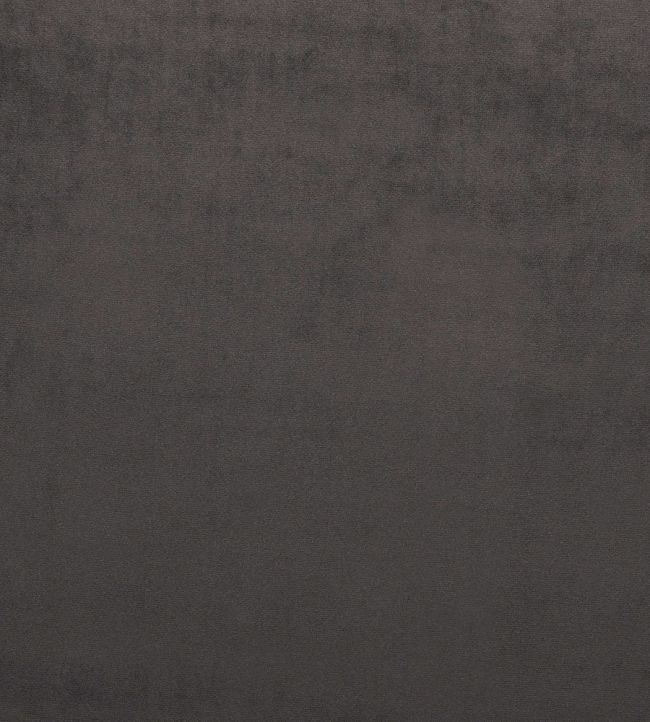 Mystere Fabric by Warwick MOLE