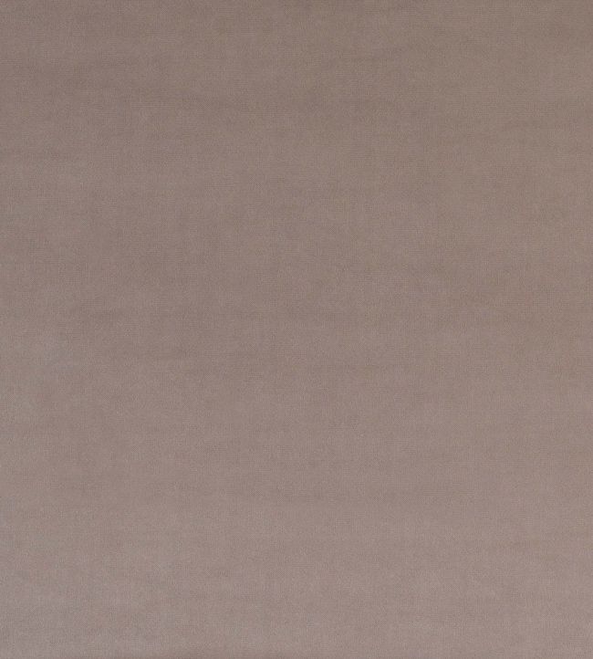Mystere Fabric by Warwick PUMICE