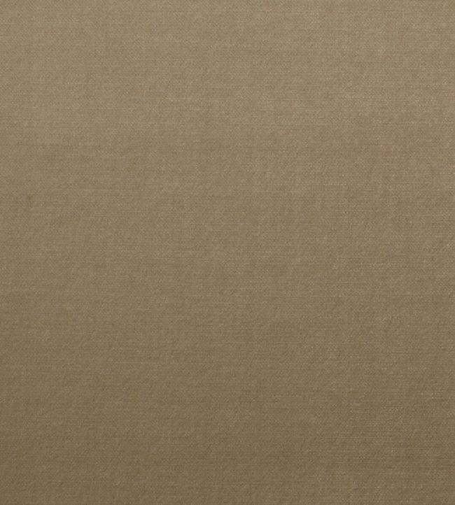 Mystere Fabric by Warwick PUTTY