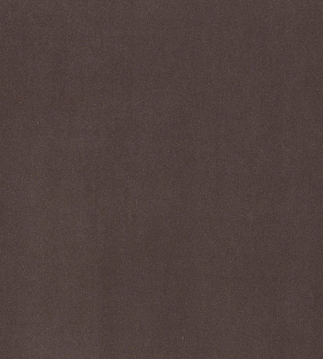 Plush Velvet Fabric by Warwick Asphalt