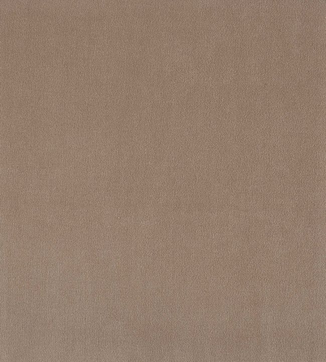 Plush Velvet Fabric by Warwick Bark
