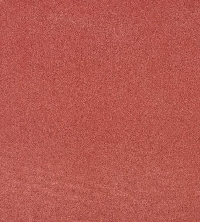 Plush Velvet FR Fabric by Warwick Brick