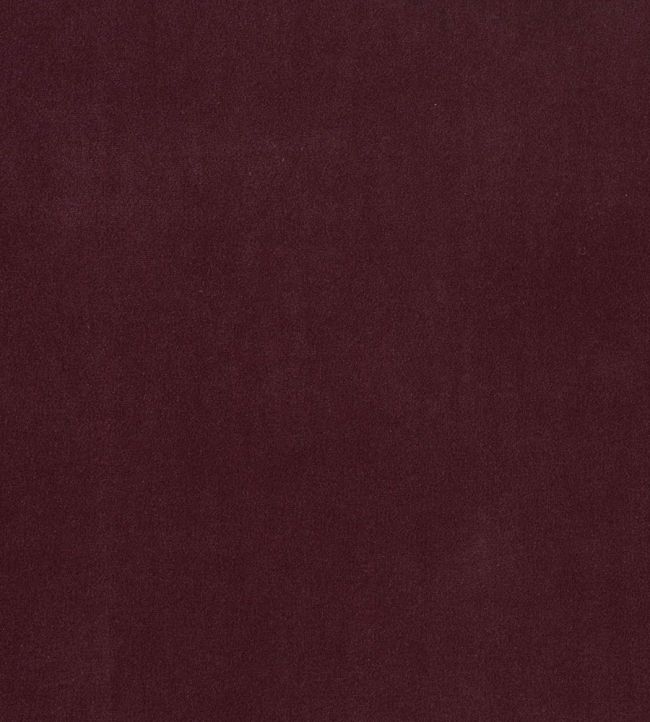 Plush Velvet Fabric by Warwick Brinjal