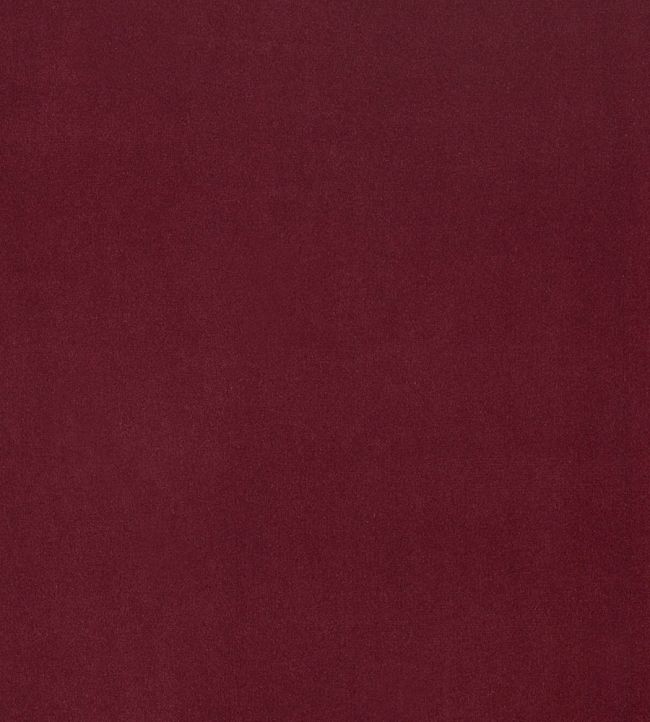 Plush Velvet Fabric by Warwick Burgundy
