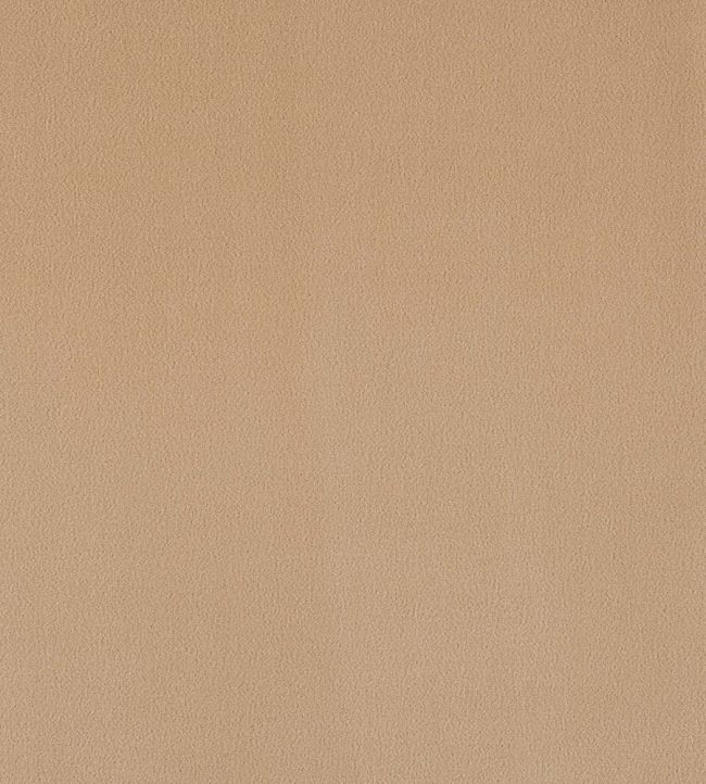 Plush Velvet FR Fabric by Warwick Cafe
