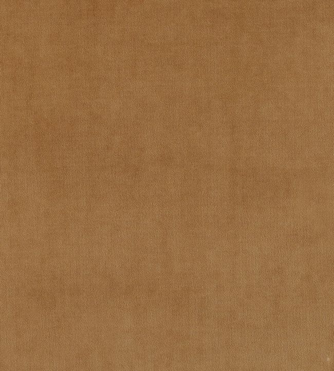 Plush Velvet Fabric by Warwick Caramel