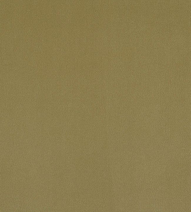 Plush Velvet FR Fabric by Warwick Celery