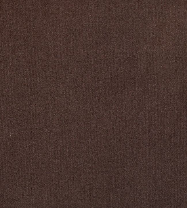 Plush Velvet Fabric by Warwick Chocolate