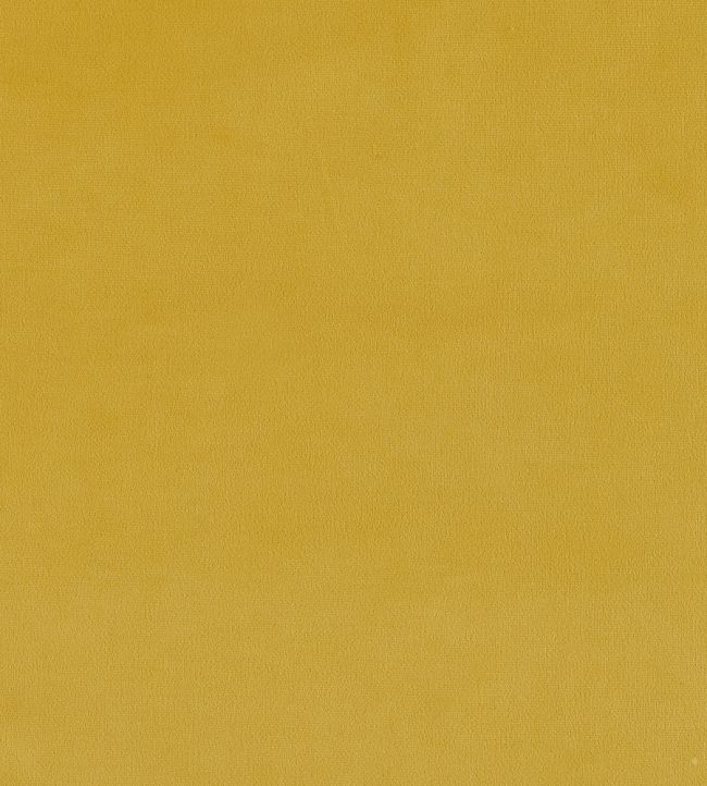 Plush Velvet Fabric by Warwick Daffodil