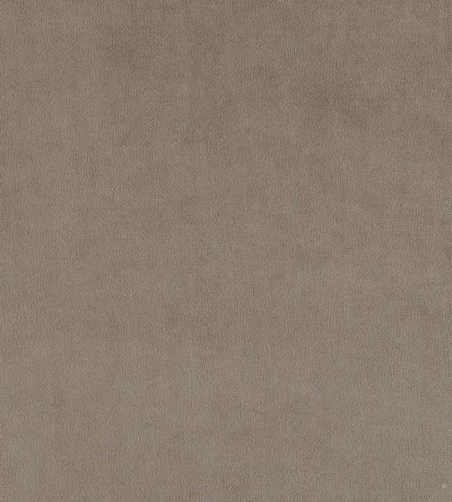 Plush Velvet FR Fabric by Warwick Elephant
