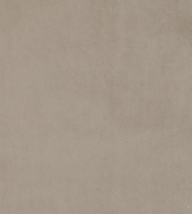 Plush Velvet Fabric by Warwick Fog