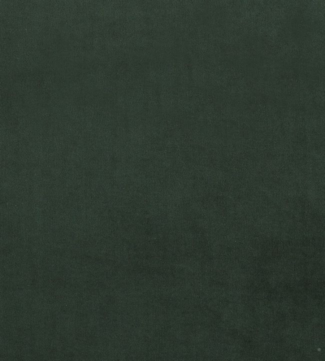 Plush Velvet FR Fabric by Warwick Hunter