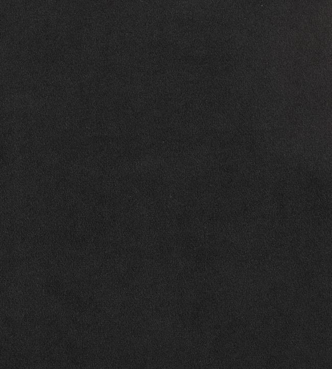 Plush Velvet FR Fabric by Warwick Jet