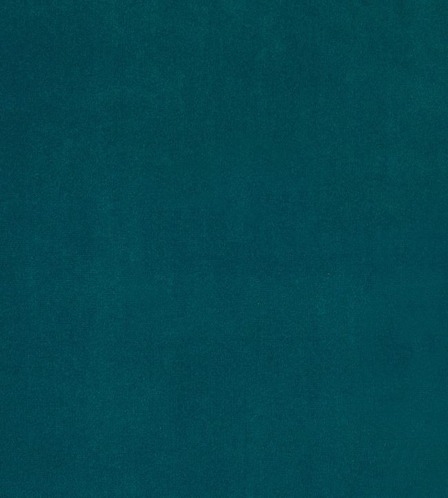 Plush Velvet FR Fabric by Warwick Mallard