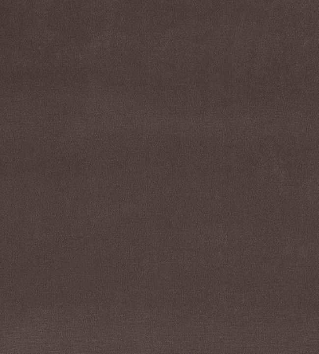 Plush Velvet FR Fabric by Warwick Mole