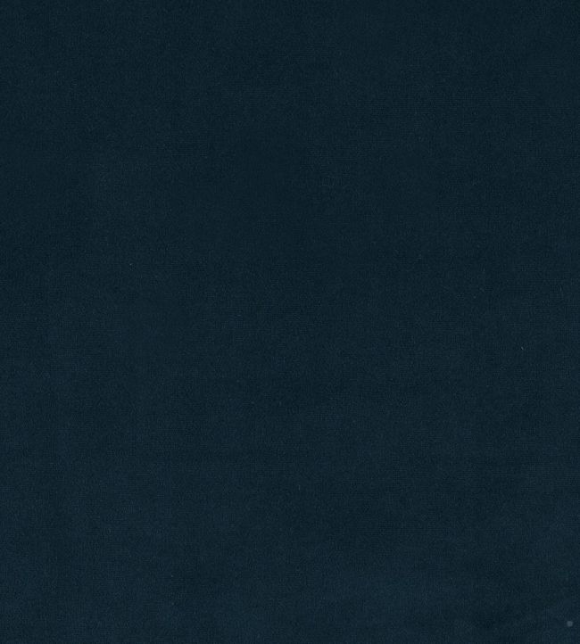Plush Velvet Fabric by Warwick Navy