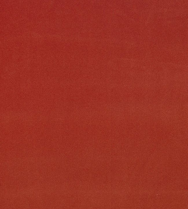 Plush Velvet Fabric by Warwick Paprika