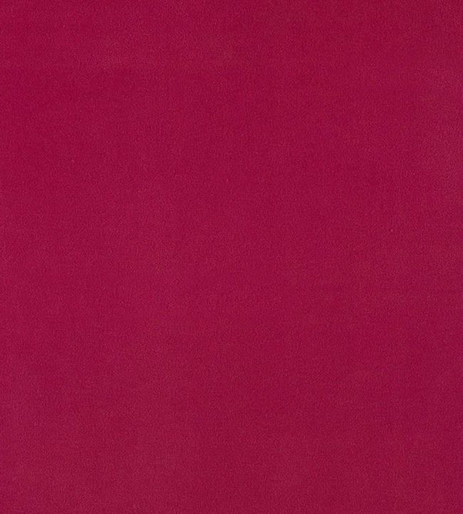 Plush Velvet Fabric by Warwick Peony