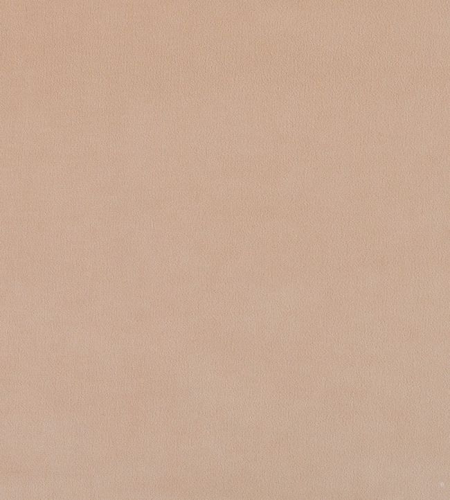 Plush Velvet FR Fabric by Warwick Petal
