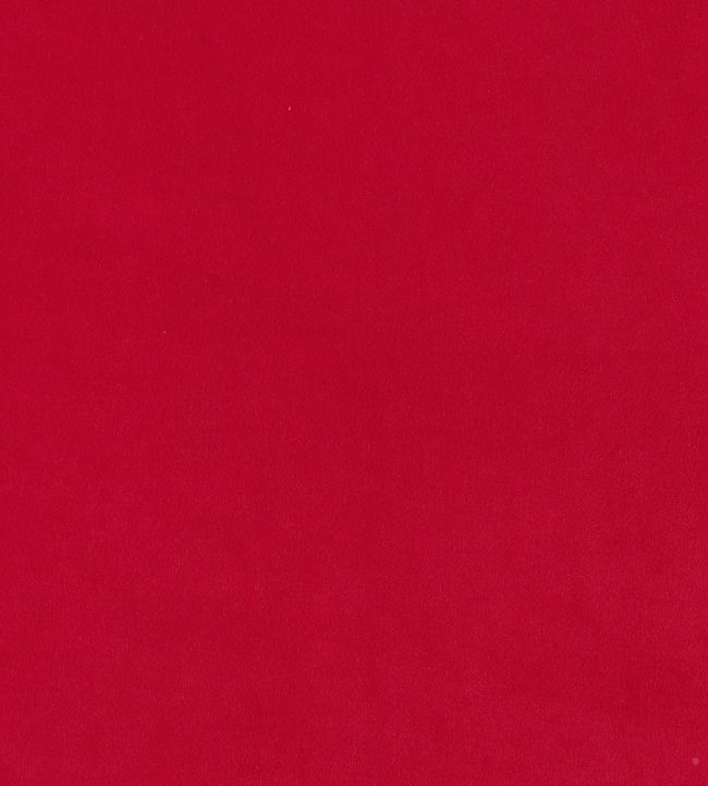 Plush Velvet FR Fabric by Warwick Pillarbox