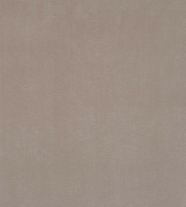 Plush Velvet FR Fabric by Warwick Platinum