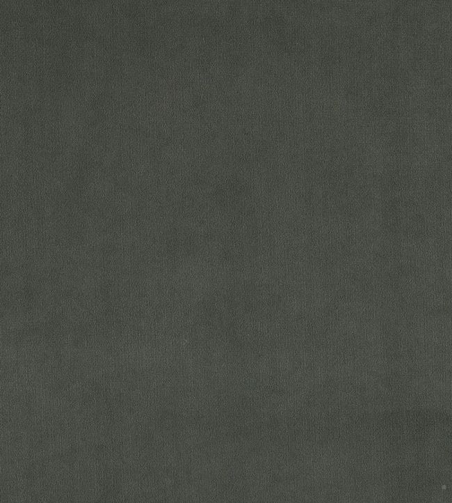 Plush Velvet FR Fabric by Warwick Shadow
