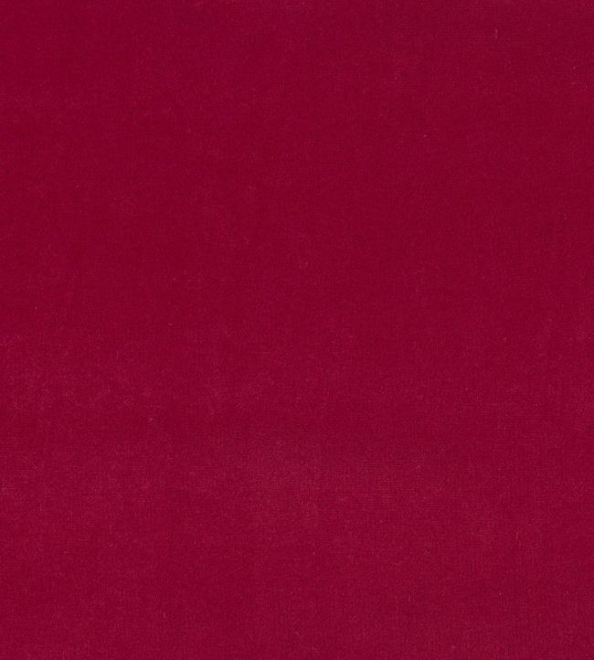 Plush Velvet Fabric by Warwick Shiraz