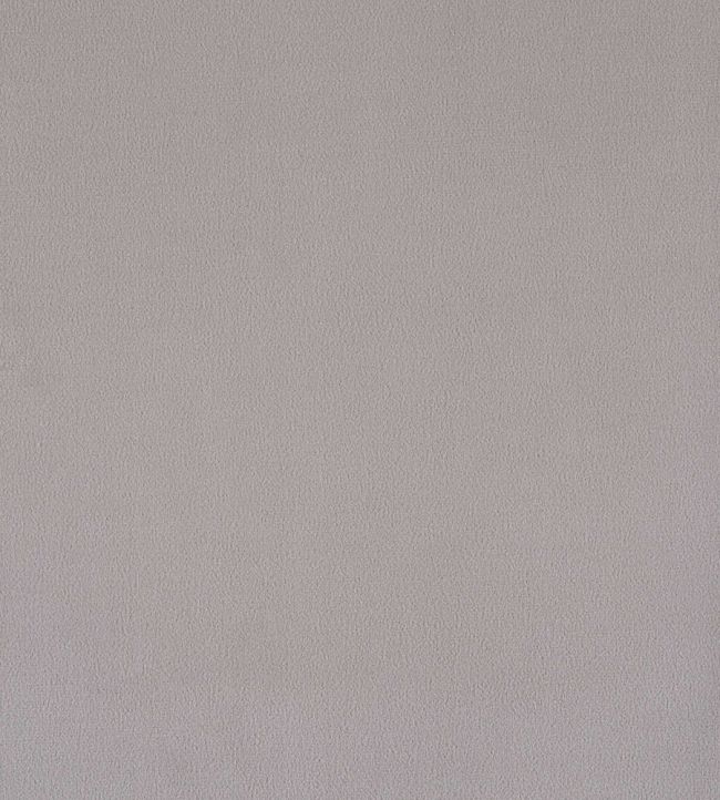 Plush Velvet Fabric by Warwick Silver