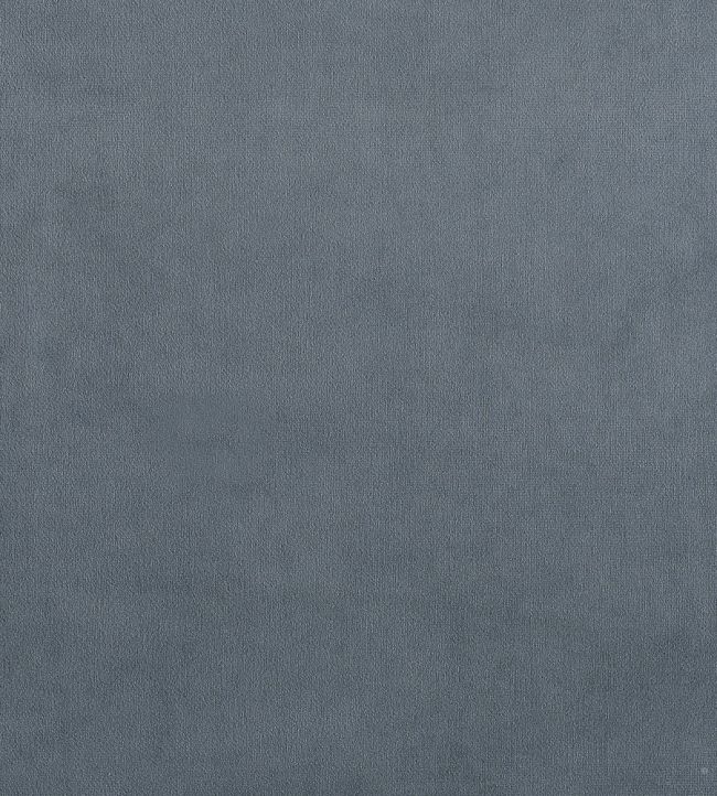Plush Velvet Fabric by Warwick Steel