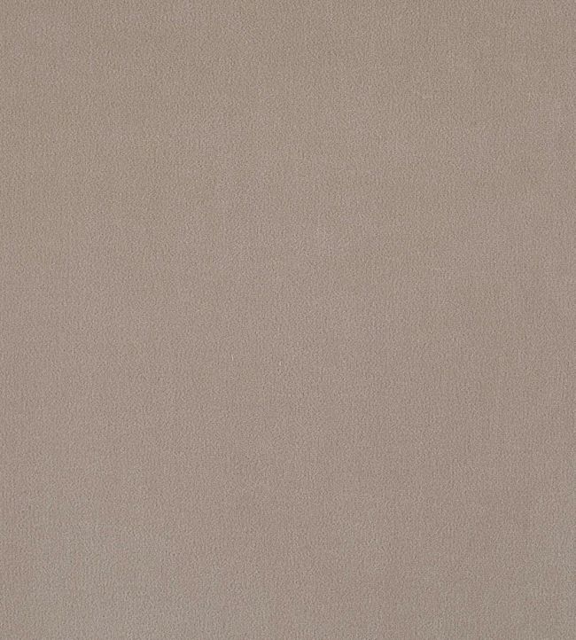 Plush Velvet Fabric by Warwick Taupe