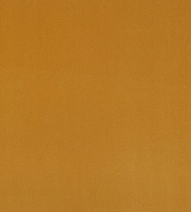 Plush Velvet Fabric by Warwick Turmeric