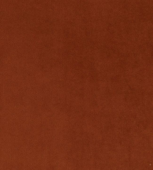 Plush Velvet Fabric by Warwick Umber