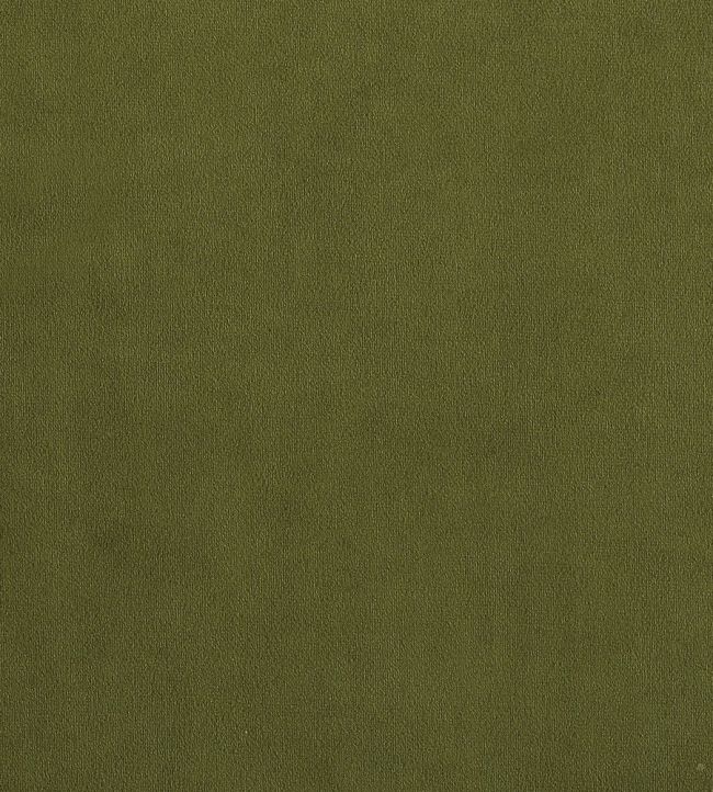 Plush Velvet FR Fabric by Warwick Vine