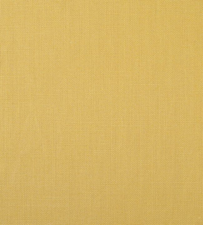 Slubby Linen II Fabric by Warwick Cornsilk