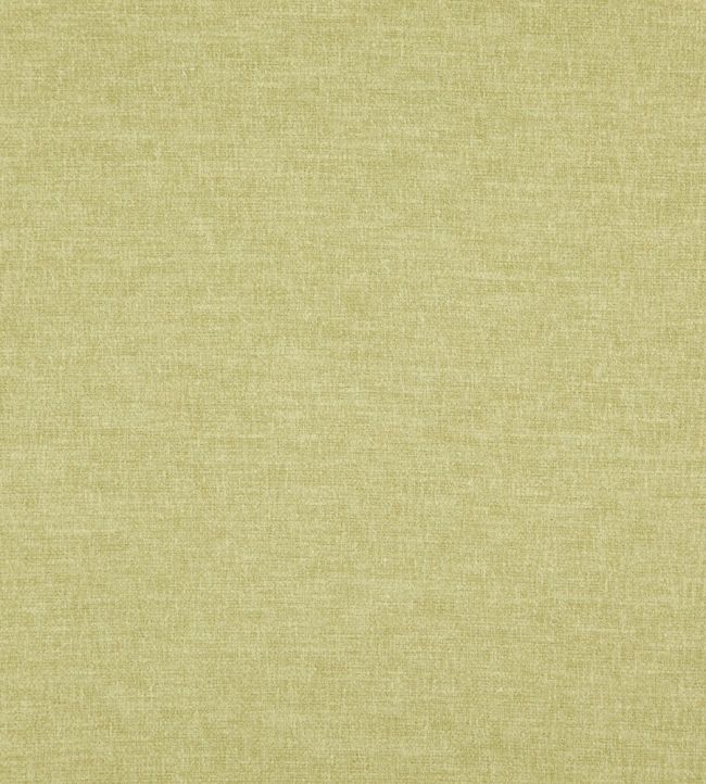 Splash Fabric by Warwick CELERY