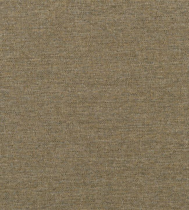 Watkin Fabric by Designers Guild Retro Olive