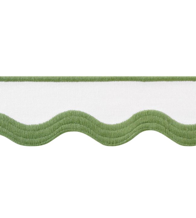 Wave Tape Trimming by Thibaut Leaf on White
