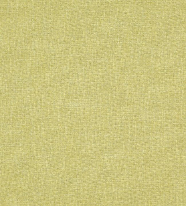 Braemar Fabric by Wemyss Pistachio