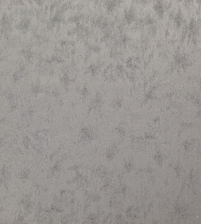 Stelvio Fabric by Wemyss Platinum