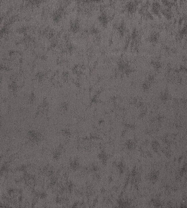 Stelvio Fabric by Wemyss Graphite