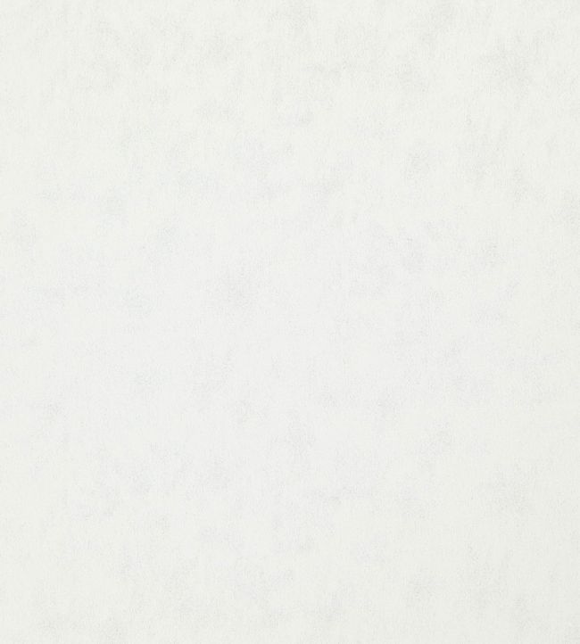 Stelvio Fabric by Wemyss Pearl