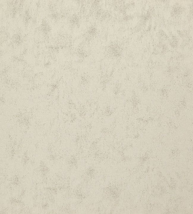 Stelvio Fabric by Wemyss Almond