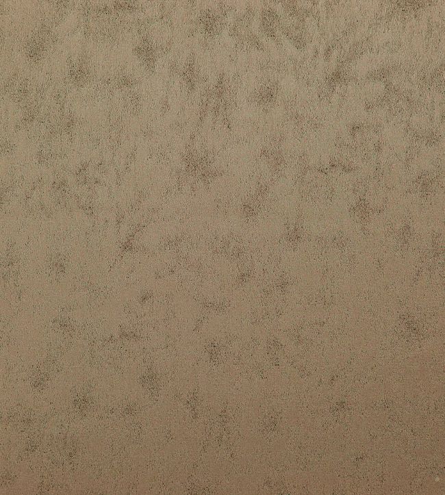 Stelvio Fabric by Wemyss Truffle
