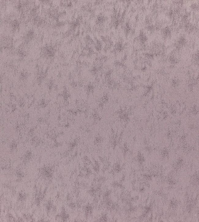 Stelvio Fabric by Wemyss Orchid Haze