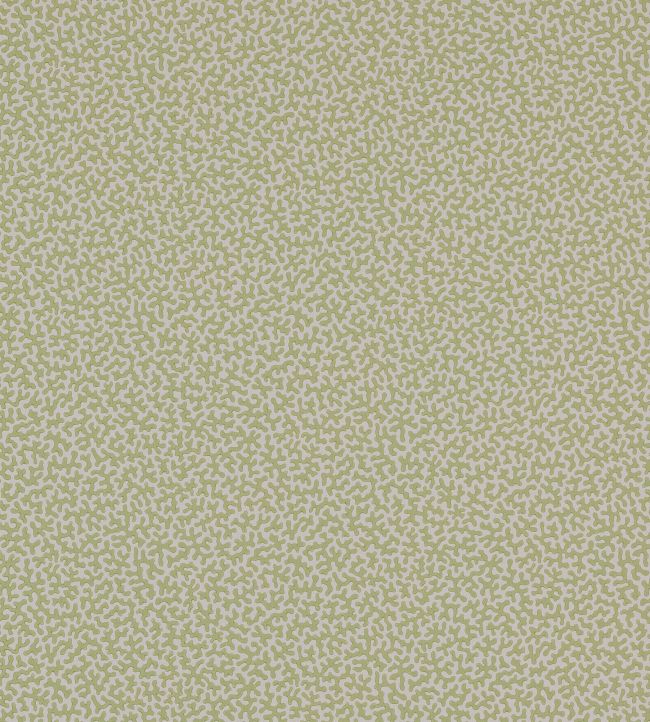 Wendle Wallpaper by Colefax and Fowler Leaf