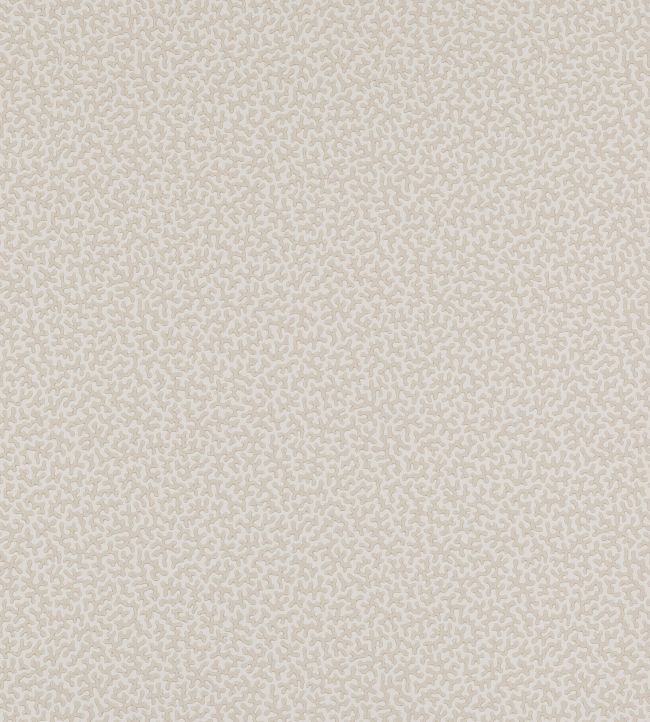 Wendle Wallpaper by Colefax and Fowler Silver